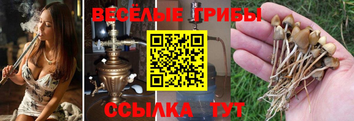 Галлюциногенные грибы Magic Shrooms  Вход с VPN  Псилоцибиновые грибы мухоморы  Саров 